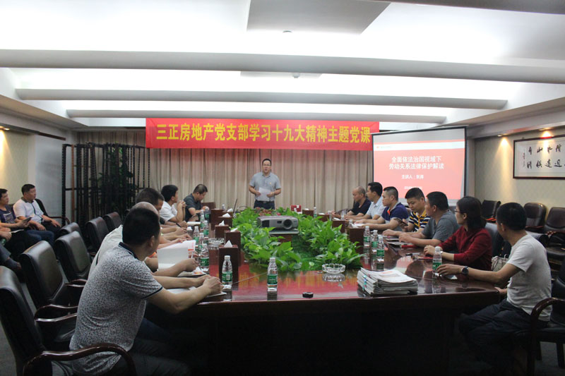 2018年5月20日，三正房地產(chǎn)黨支部學(xué)習(xí)十九大主題黨課.jpg